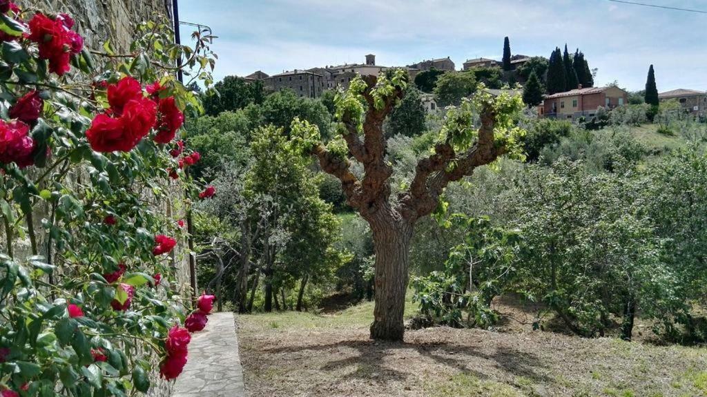 Bed and Breakfast Colombaio In Colle Sant'Angelo in Colle Exterior foto